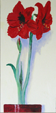 The Red Amaryllis